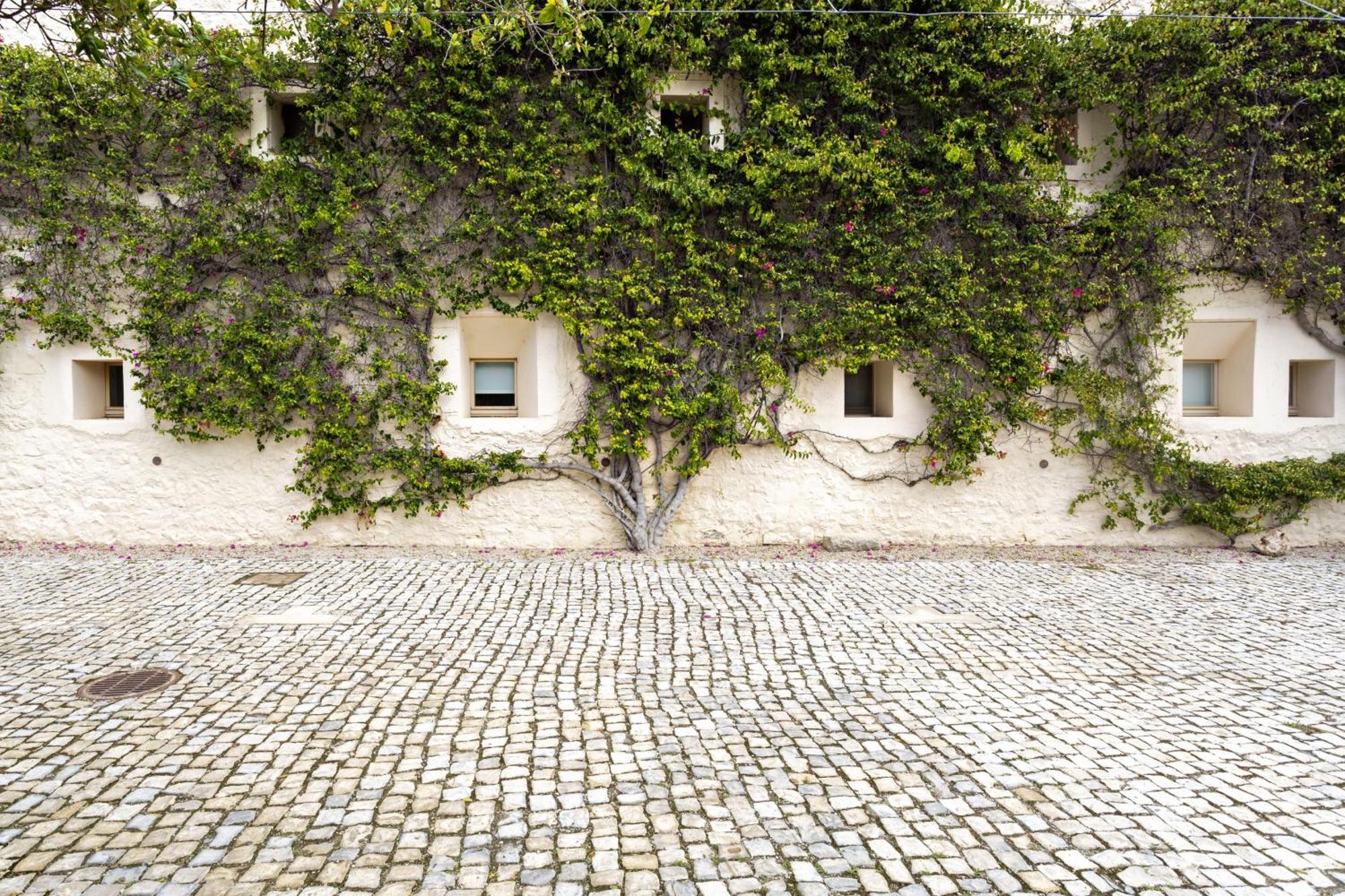 Convento Bernardas By My Choice Apartment