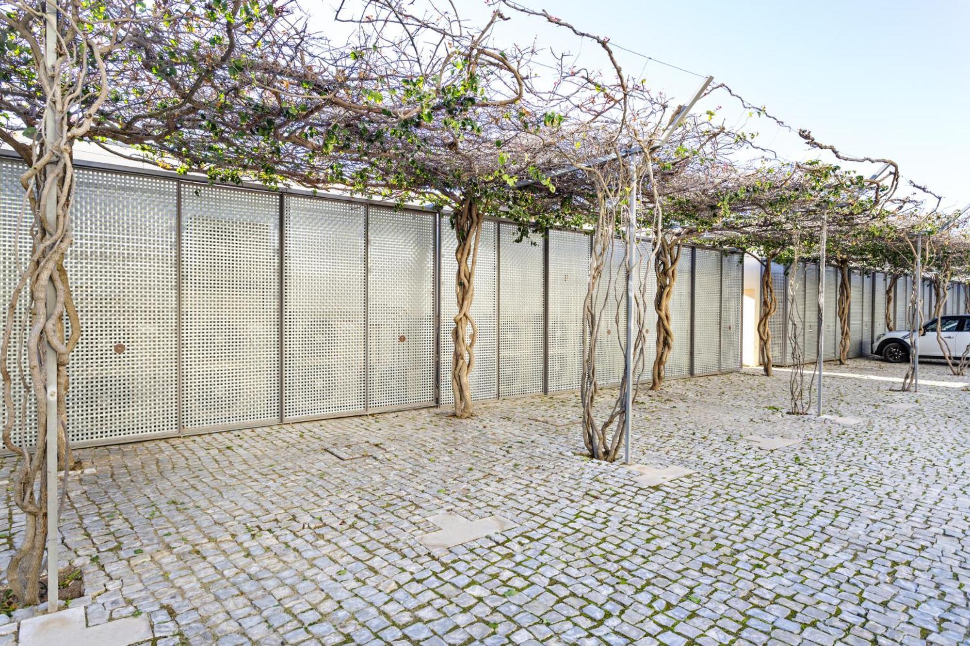 Convento Bernardas By My Choice Appartement